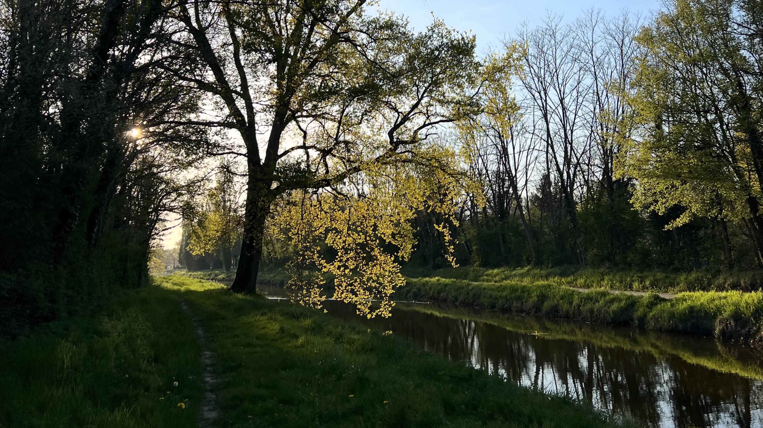 Camping Le Bois des Elfes — photo 2